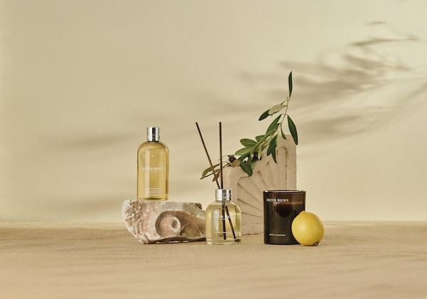 Home 49 Brand main image