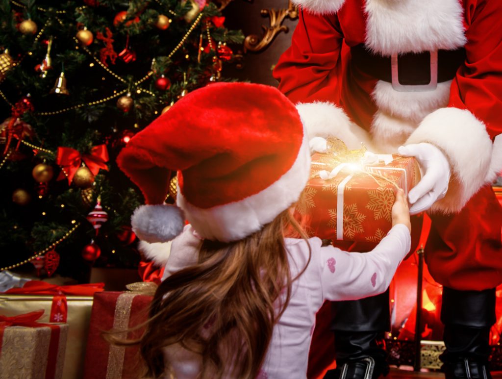 Book your Santa’s Grotto Visit 37