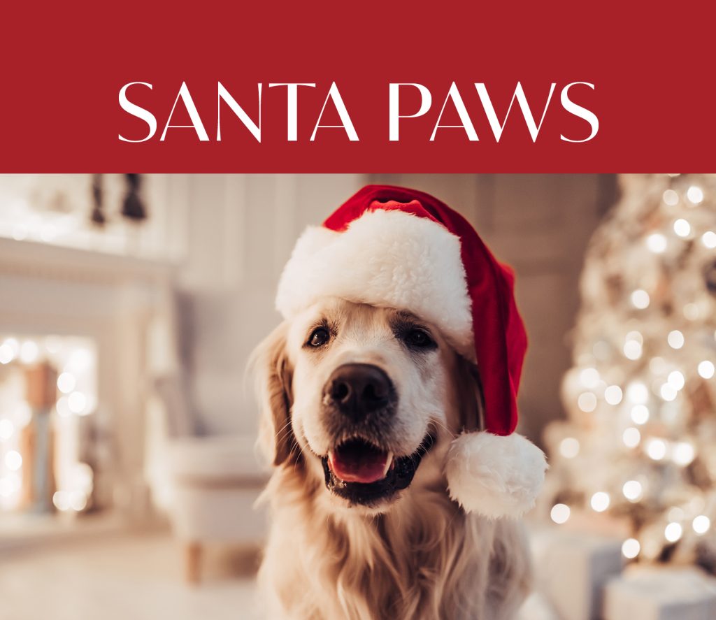 Santa Paws will take place on 22nd and 23rd November 12 Santa Paws will take place on 22nd and 23rd November 11